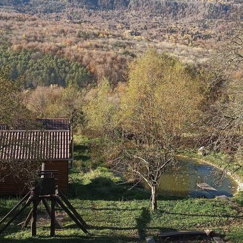 Photo #6669534