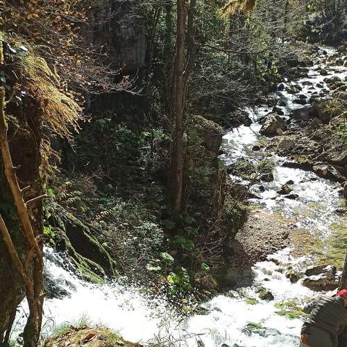 Photo #6669541