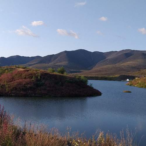 Photo #6669557