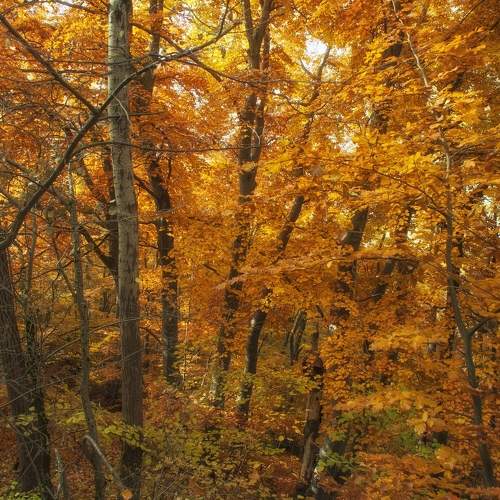 Photo #6669647