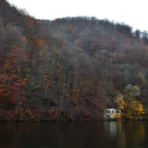 Photo #6669877
