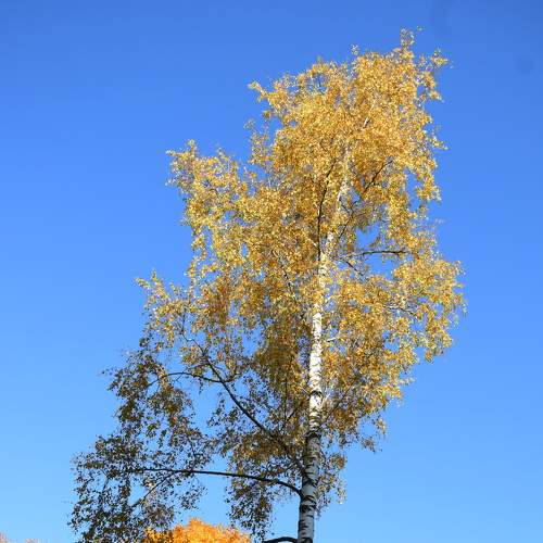 Photo #6670020