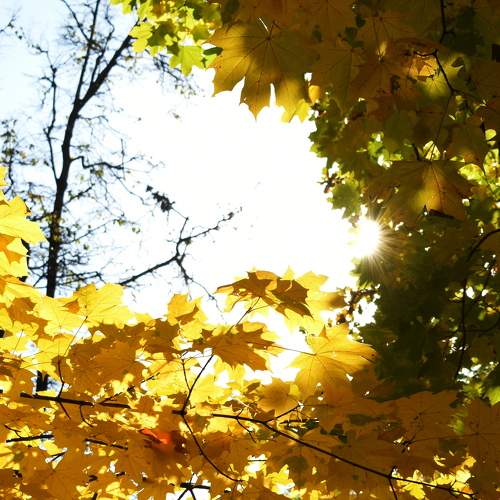 Photo #6670021