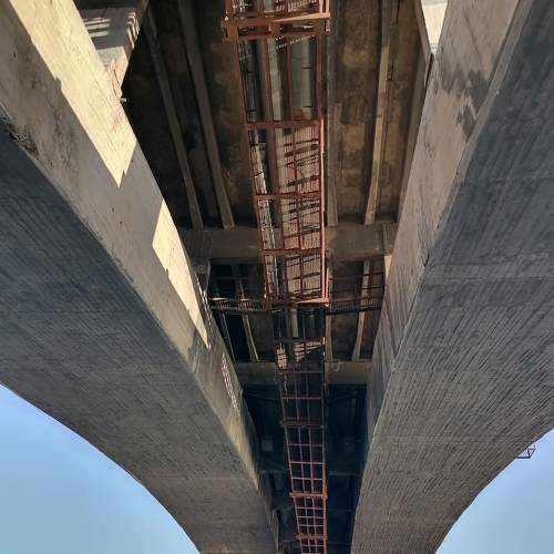 Photo #6670089