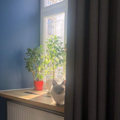 Photo #6670210