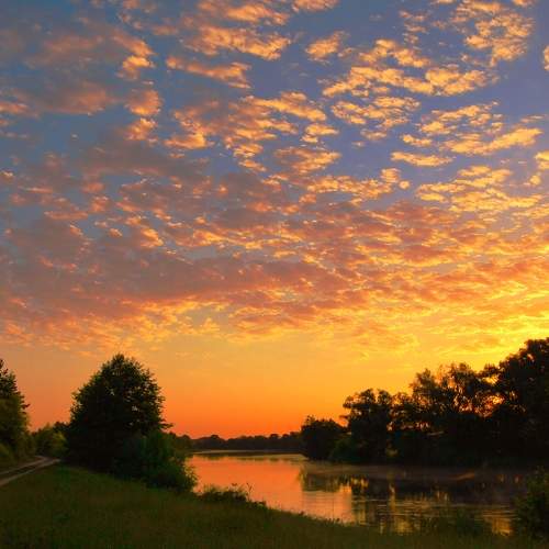 Photo #6670272