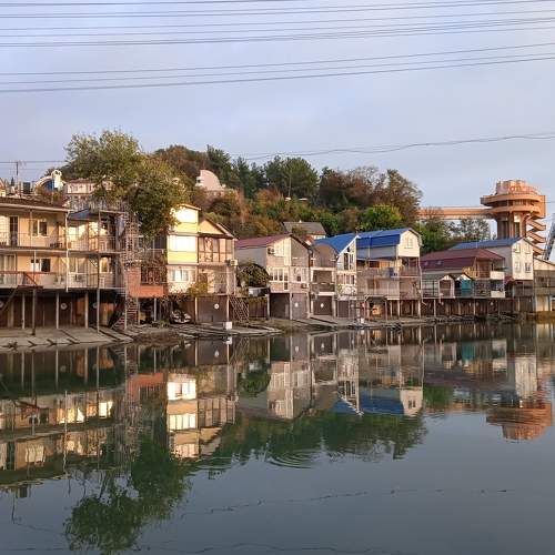 Photo #6670589