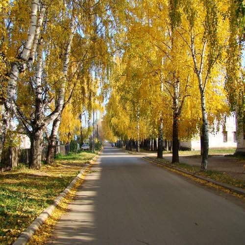 Photo #6670738