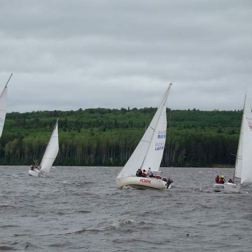 Photo #6670754