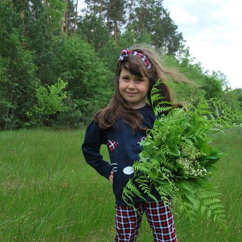 Photo #6670879