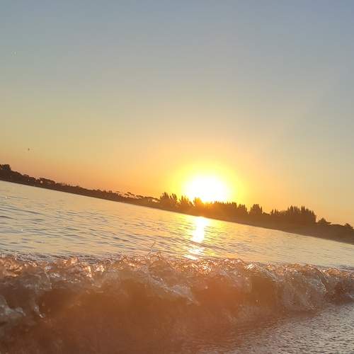 Photo #6670972