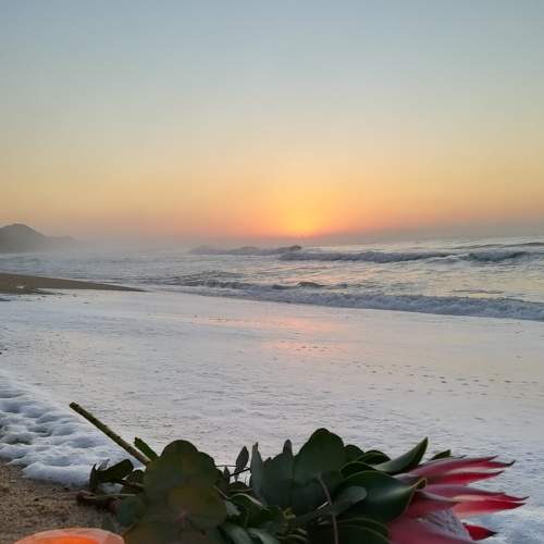 Photo #6670975