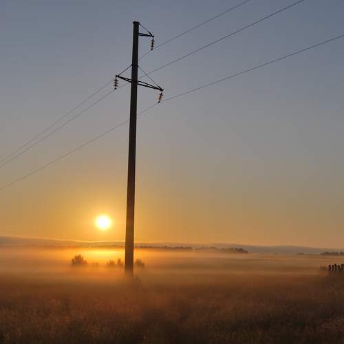 Photo #6671095