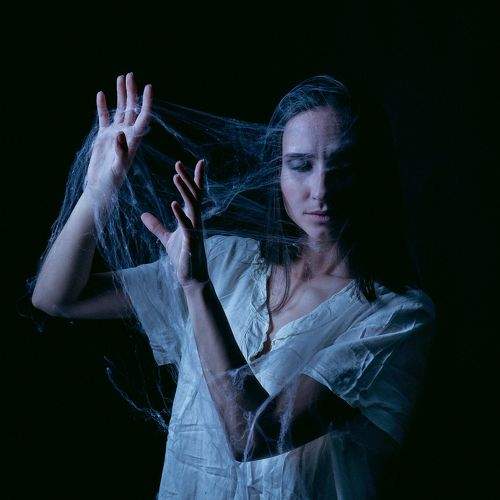 Photo #6671157