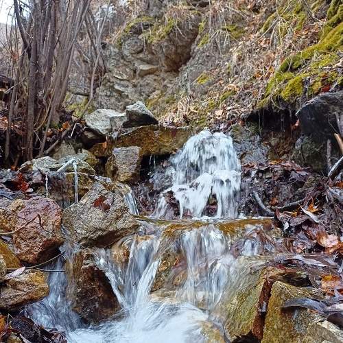 Photo #6671269