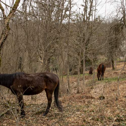 Photo #6671426