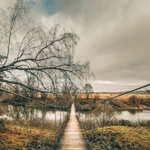 Photo #6671453
