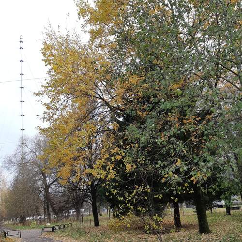 Photo #6671493