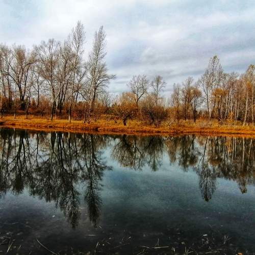 Photo #6671533