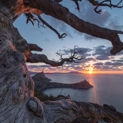 Photo #6671655
