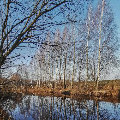 Photo #6671751