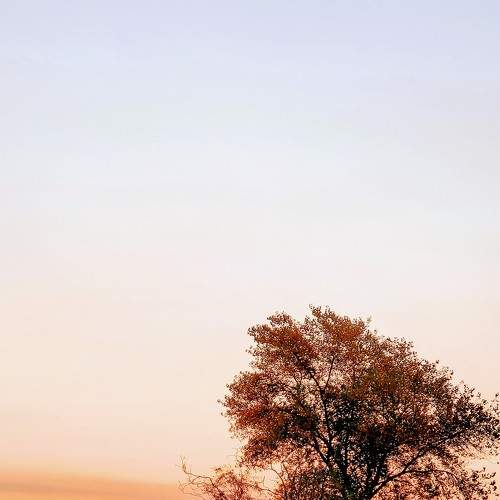 Photo #6671763