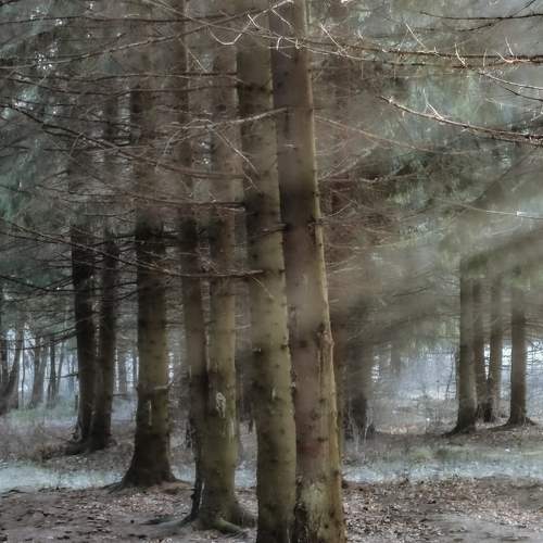 Photo #6671817