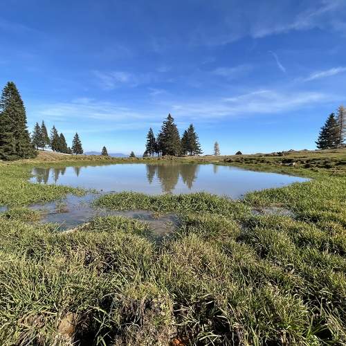 Photo #6672028