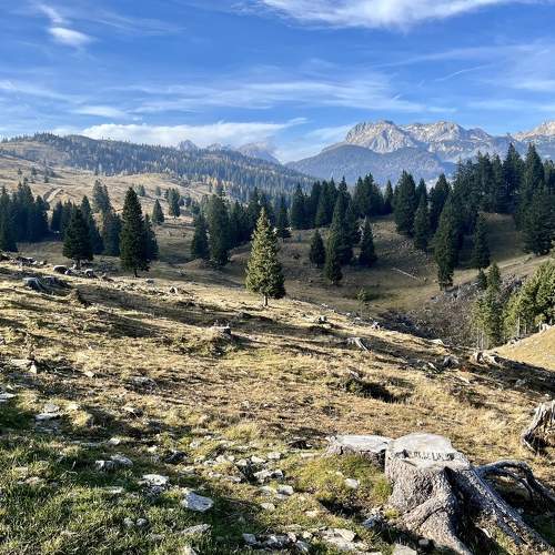 Photo #6672030