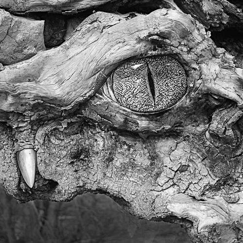 Фотография #6672144