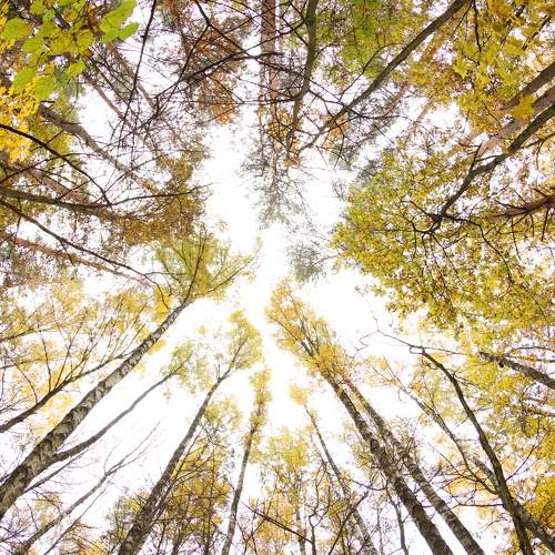 Photo #6672151
