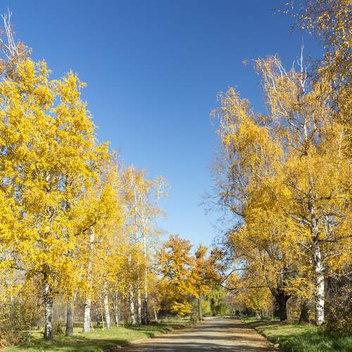 Photo #6672508
