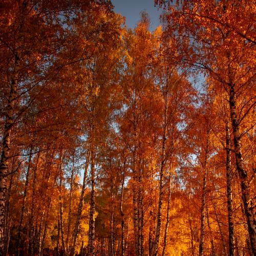 Photo #6672512