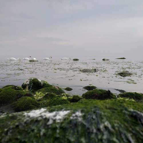 Photo #6673185