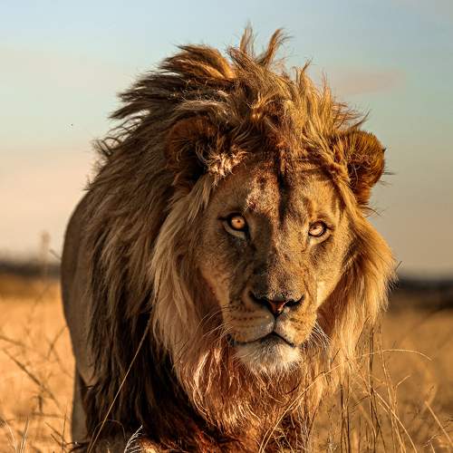 Photo #6673592