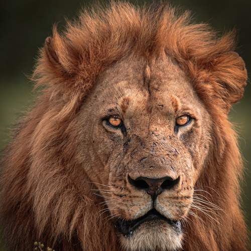 Photo #6673607