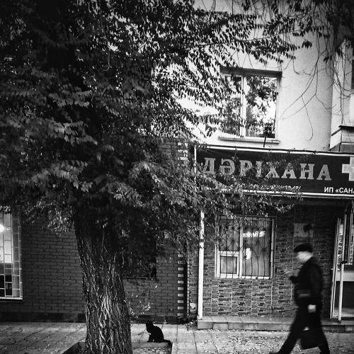 Одиночество черного кота