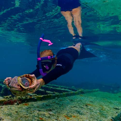 Photo #6674000