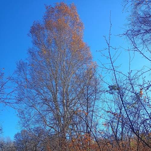 Photo #6674130