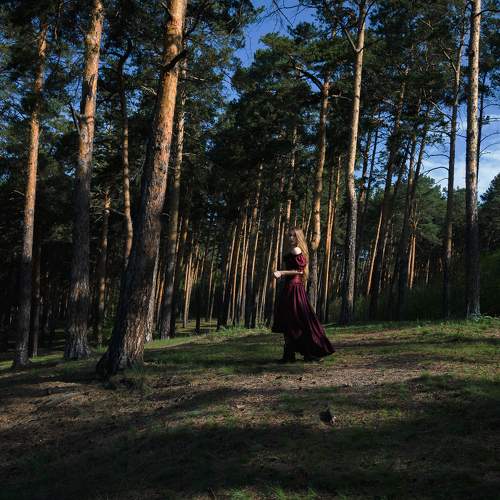 Photo #6674477