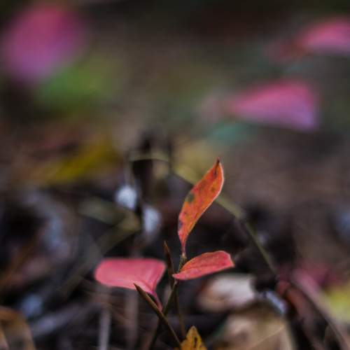 Photo #6674615