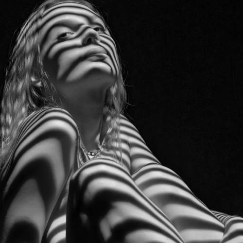 Photo #6675056