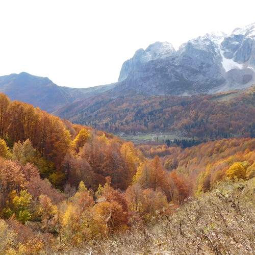 Photo #6675304