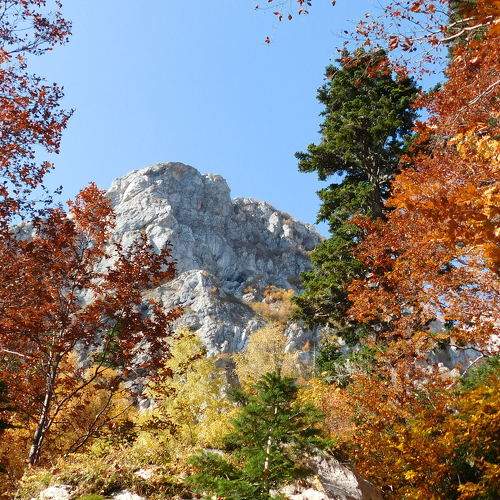 Photo #6675311