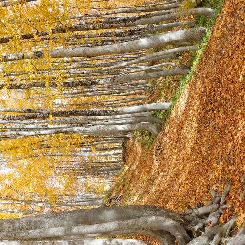 Photo #6675327