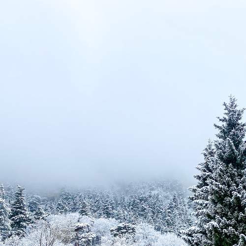 Photo #6675411