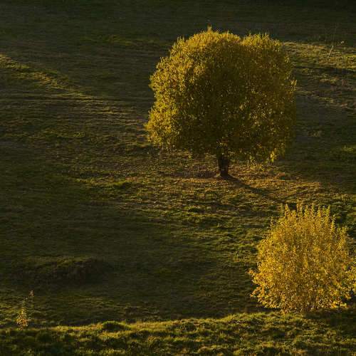 Photo #6675579