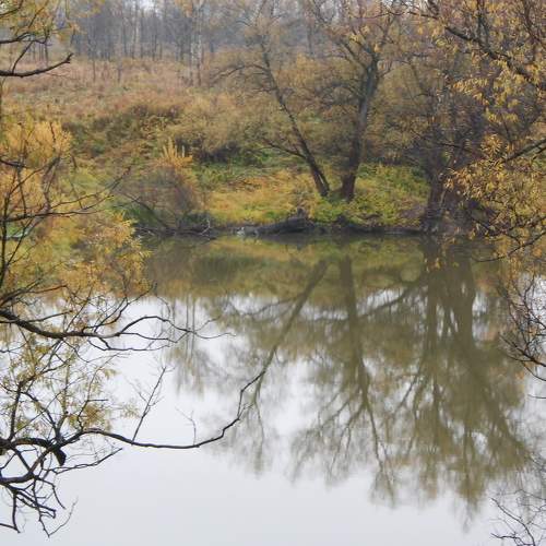 Photo #6675619