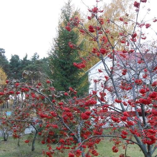 Photo #6675886