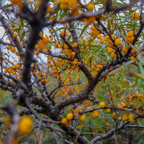 Photo #6675911
